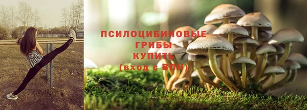 не бодяженный Арсеньев
