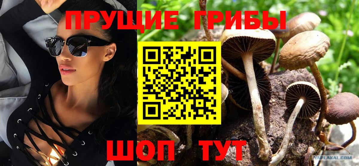 Псилоцибиновые грибы прущие грибы  Псилоцибиновые грибы Psilocybe  Балабаново  Вход с VPN 